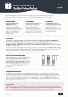 Vorschau - Stundenentwürfe - Enzyme: allgemeine Eigenschaften – Oberstufe - Seite 2