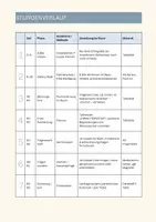 Vorschau - Stundenentwürfe - Leihmutterschaft - Elternwunsch & Selbstbestimmung - Seite 2
