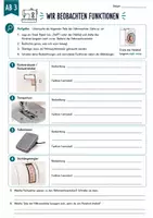 Vorschau - Unterrichtsreihen - Nähmaschinen-Führerschein Klasse 6–8 | Nähmaschine kennenlernen, Sicherheit & Zubehör - Seite 3