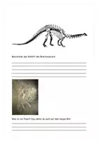 Vorschau - Arbeitsblätter - Alles rund um Dinosaurier - mit Lösung - Seite 2