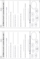 Vorschau - Arbeitsblätter - Soziogramm Sitzplan - Seite 2