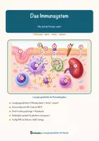 Vorschau - Arbeitsblätter - Das Immunsystem – Lesespurgeschichte mit Rätselaufgaben (Klasse 8) - Seite 2