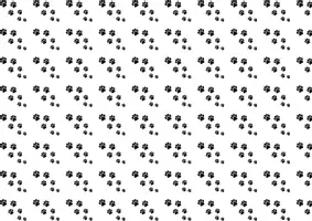 Aperçu - Apprentissages en autonomie - Mistigri Verbe et infinitif présent de l'indicatif - Page 1