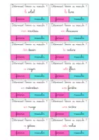Aperçu - Apprentissages en autonomie - Cartes à pince déterminant féminin ou masculin ? - Page 1