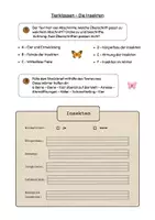 Vorschau - Arbeitsblätter - Sachtext Verstehen - Leseverständnis - Tierklasse Insekten differenziert - Seite 2