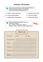 Vorschau - Arbeitsblätter - Sachtext Verstehen - Leseverständnis - Tierklasse Amphibien differenziert - Seite 2
