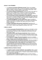 anteprima - Esercizi - PROGRAMMA COMPLETO di scienze - terza elementare - Pagina 3