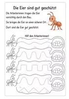 Vorschau - Arbeitsblätter - Alles rund um die Ameise Wissens- und Mitmachheft (Kita - 1. Klasse) - Seite 2