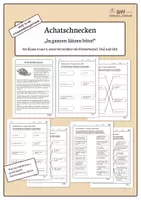 Vorschau - Arbeitsblätter - Achatschnecken In ganzen Sätzen - Deckblatt