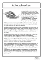 Vorschau - Arbeitsblätter - Achatschnecken In ganzen Sätzen - Seite 2