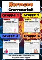 Vorschau - Arbeitsblätter - Hormone Gruppenarbeit: Endokrines, System, Adrenalin & Insulin - Deckblatt