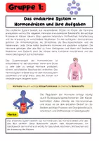 Vorschau - Arbeitsblätter - Hormone Gruppenarbeit: Endokrines, System, Adrenalin & Insulin - Seite 1