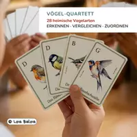 Vorschau - Spiele - Vögel Quartett – 28 Heimische Vogelarten Kartenspiel - Deckblatt
