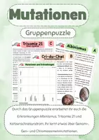 Vorschau - Arbeitsblätter - Genetik: Mutationen und Erkrankungen (Gruppenpuzzle) - Deckblatt