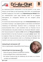 Vorschau - Arbeitsblätter - Genetik: Mutationen und Erkrankungen (Gruppenpuzzle) - Seite 3