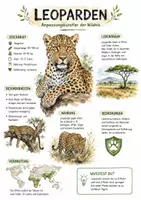 Vorschau - Arbeitsblätter - Lernposter + Arbeitsblatt "Leopard" + Onlineübung & MP3 + Mindmap + Infografik - Deckblatt