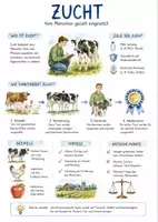 Vorschau - Arbeitsblätter - Lernposter + Arbeitsblatt "Zucht" + Onlineübung & MP3 + Infografik - Deckblatt