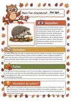 Vorschau - Arbeitsblätter - Tiere im Herbst – XXL Materialpaket mit 16 Tier-Steckbriefen, Ausmalbildern, Quiz & Präsentation - Seite 2