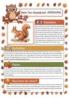 Vorschau - Arbeitsblätter - Tiere im Herbst – XXL Materialpaket mit 16 Tier-Steckbriefen, Ausmalbildern, Quiz & Präsentation - Seite 3
