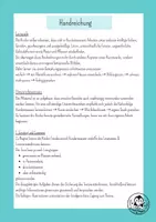 Vorschau - Unterrichtsreihen - Hundertwasser Kunstunterricht Grundschule – Stadt & Häuser würfeln | Kunstprojekt Klasse 2–4 | ohne Vorbereitung einsetzbar - Seite 3