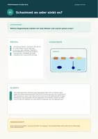 Vorschau - Experimente - 3 Experimente für die Kita – Forscherzeit | Naturwissenschaften & MINT | Freebie - Seite 1