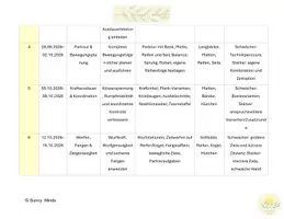 Vorschau - Stundenentwürfe - Jahresplanung Bewegung und Sport 3. Klasse Mittelschule - Seite 2