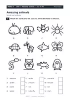 Vorschau - Arbeitsblätter - MORE! 2 – Vocabulary and Pictures | 3 Arbeitsblätter Wortschatz mit Bildern! - Seite 1