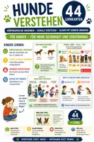 Vorschau - Spiele - Hunde verstehen – 44 Lernkarten Körpersprache • Sicherheit • Grenzen - Deckblatt