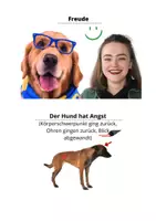 Vorschau - Spiele - **Hund verstehen – kostenlose Bildkarten** - Seite 1