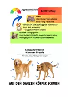 Vorschau - Spiele - **Hund verstehen – kostenlose Bildkarten** - Seite 2
