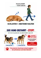 Vorschau - Spiele - **Hund verstehen – kostenlose Bildkarten** - Seite 3