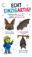 Vorschau - Präsentationen/Tafelbilder - Wie finden Fledermäuse im Dunkeln ihre Beute? – Sachunterricht Klasse 3–4 - Seite 1