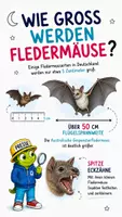 Vorschau - Präsentationen/Tafelbilder - Wie finden Fledermäuse im Dunkeln ihre Beute? – Sachunterricht Klasse 3–4 - Seite 3
