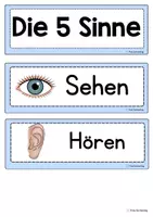Vorschau - Präsentationen/Tafelbilder - Die 5 Sinne – Einstieg, Tafelmaterial & Bildkarten - Seite 3