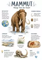 Vorschau - Arbeitsblätter - Lernplakat + Arbeitsblätter zum Thema "Mammut" + Lösung & MP3 + Mindmap + Infografik - Deckblatt