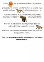 Aperçu - Apprentissages en autonomie - Mémory de la savane - Page 2
