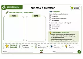 anteprima - Esperimenti - Scienze - esperimento: "Come bevono le piante?" - Pagina 2