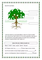 Vorschau - Arbeitsblätter - Der Baum im Laufe der Jahreszeiten - Seite 2