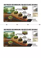 Vorschau - Poster - Infografik & Merkblatt: Inkohlung – Von der Pflanze zur Kohle - Seite 1