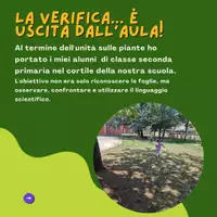 anteprima - Materiale di supporto/inclusione - Caccia alle foglie! SCIENZE INCLUSIVA classe 2 primaria - Pagina 1