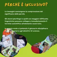 anteprima - Materiale di supporto/inclusione - Caccia alle foglie! SCIENZE INCLUSIVA classe 2 primaria - Pagina 3
