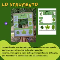 anteprima - Materiale di supporto/inclusione - Caccia alle foglie! SCIENZE INCLUSIVA classe 2 primaria - Pagina 2