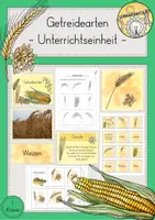 Vorschau - Stundenentwürfe - Getreide Getreidearten Wissenskartei Spiele Tafelmaterial Unterrichtseinheit - Deckblatt