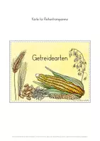 Vorschau - Stundenentwürfe - Getreide Getreidearten Wissenskartei Spiele Tafelmaterial Unterrichtseinheit - Seite 3