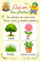 Vista previa - Unidades / Secuencias / Situaciones de Aprendizaje - Las plantas en otoño 1.º de Primaria. Conocimiento del Medio + Yo tengo… ¿Quién tiene? + DUA - página 3