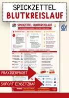 Vorschau - Merkblätter - Merkblatt Blutkreislauf – Spickzettel für den Biologieunterricht - Deckblatt