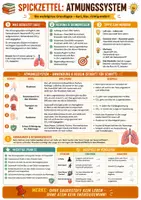 Vorschau - Merkblätter - Atmungssystem im Überblick – Merkblatt und Spickzettel Biologie - Seite 1