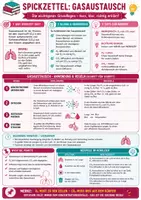 Vorschau - Merkblätter - Kompakte Übersicht Gasaustausch – Spickzettel Biologie - Seite 1