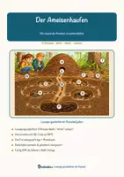 Vorschau - Arbeitsblätter - Der Ameisenhaufen – Lesespurgeschichte mit Rätselaufgaben (Klasse 8) - Seite 2