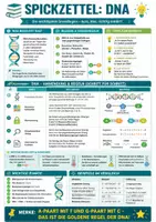 Vorschau - Merkblätter - Kompakte Übersicht DNA – Spickzettel Biologie - Seite 1